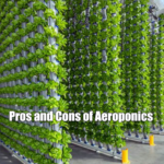 Pros and Cons of Aeroponics