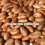 Pros and Cons of Bitter Kola