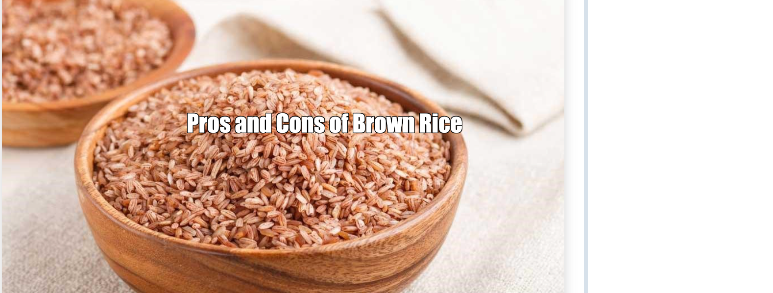 Pros and Cons of Brown Rice (December 2025)
